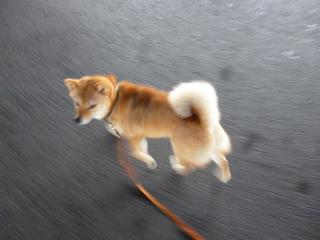 迷った1