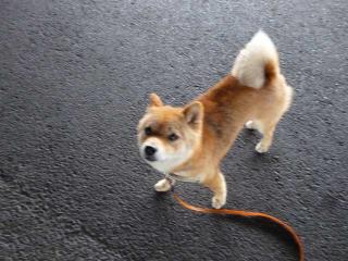 出口どこ?
