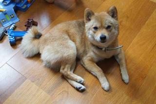 おはよ