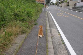 まちます