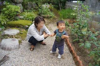 庭も砂利