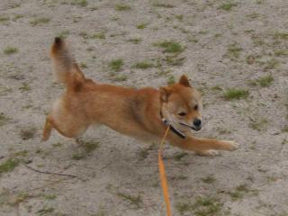 怒りのラン2