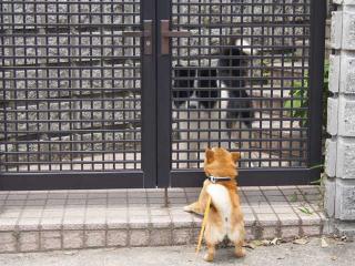 ハル流あいさつ