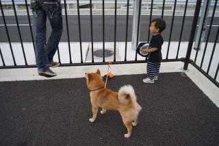 さすがお父さん!