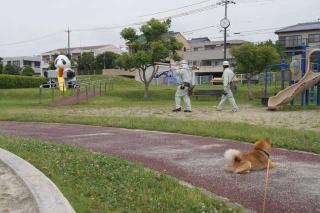 点検中
