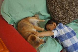 なでなでまったり