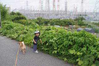 さんぽ日和