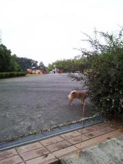 久々の公園