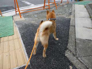 工事まるけ