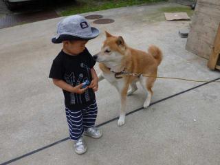 接触