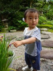 お花の紹介