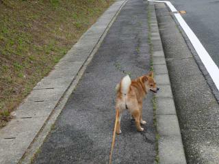 大丈夫?