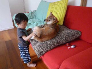 ホワホワしっぽ