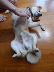朝のひとこま