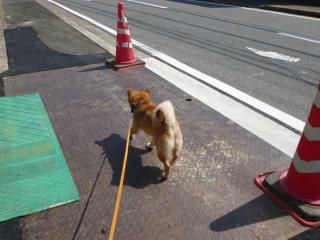 あっちっち