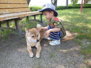 毛が抜ける2