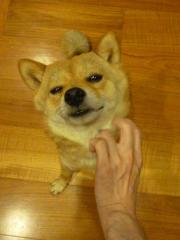 あ~そこそこ