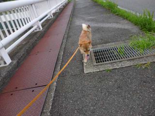 国道またぎ