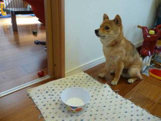 まてまて