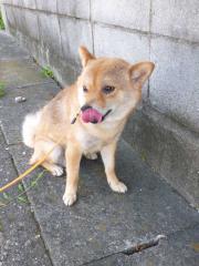 遠くに来るんじゃなかったな