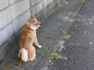 何度も休憩