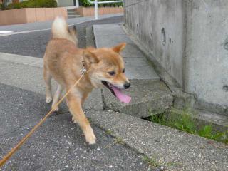 さて帰るか