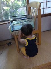 おさかなさーん