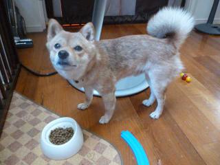 待った甲斐あり