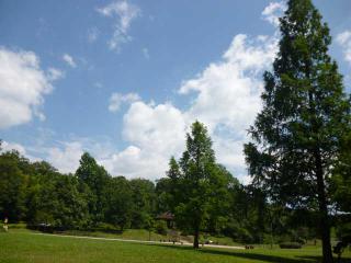 夏空