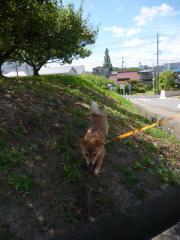 快適こかげ