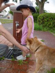 水であそびたい