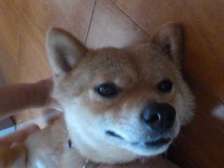 リラックス2