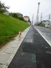 鉄塔に向かって