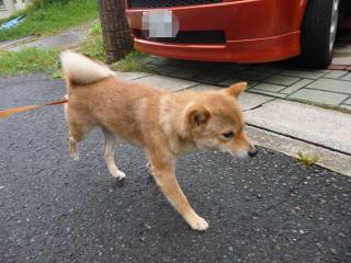 雨のすきま