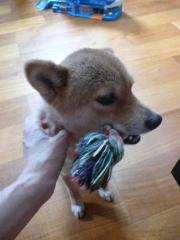 もっとなでて
