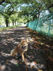 DSC07165.jpg