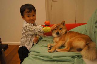 DSC07250.jpg