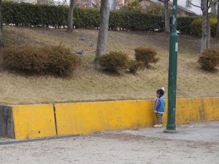 DSC07800.jpg