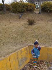 DSC07801.jpg
