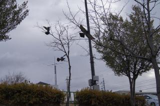 DSC07802.jpg