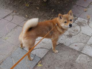 DSC07805.jpg