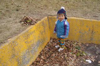 DSC07812.jpg