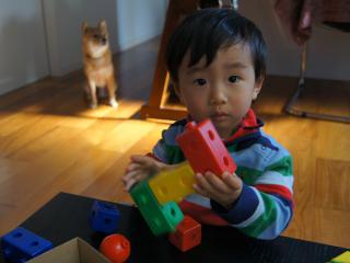 DSC07843.jpg
