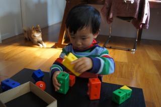DSC07844.jpg