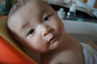 DSC07847.jpg