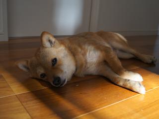 DSC07849.jpg