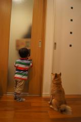 DSC07870.jpg