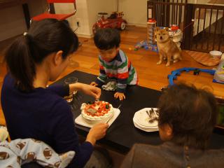 DSC07894.jpg