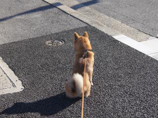 DSC07944.jpg