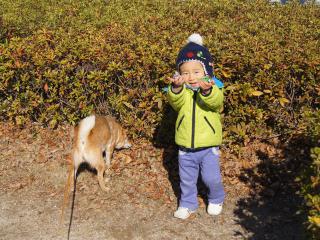 DSC07947.jpg